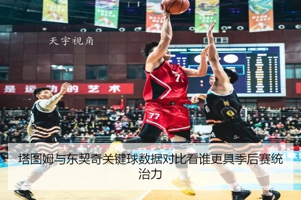 塔图姆与东契奇关键球数据对比看谁更具季后赛统治力